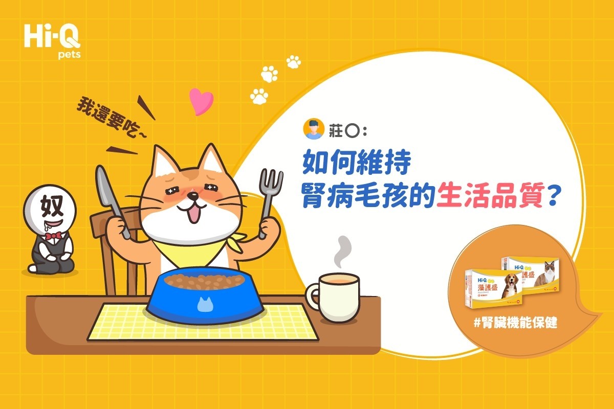 照顧腎病毛孩有訣竅！？讓鐘昇樺醫師告訴你！